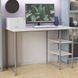 Письмовий стіл Ferrum-decor Кевін 75x100x70 сірий ДСП Біле 16мм (FRD-101739) FRD-101739 фото 1