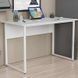 Письмовий стіл Ferrum-decor Коді 75x140x60 білий ДСП Біле 16мм (FRD-101201) FRD-101201 фото 1