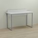 Письмовий стіл Ferrum-decor Скай 76x140x60 сірий ДСП Біле 32мм (FRD-101556)