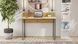 Комп'ютерний стіл Ferrum-decor Скай 75x120x60 сірий ДСП Дуб Артизан 32 мм (FRD-106976) FRD-106976 фото 3